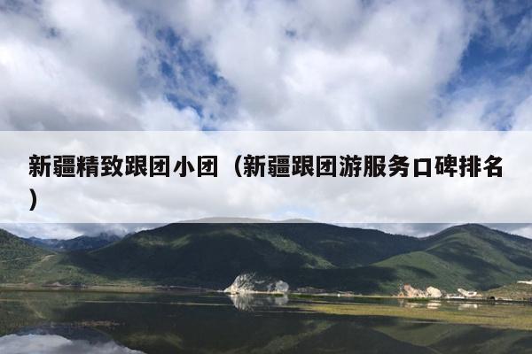 新疆精致跟团小团（新疆跟团游服务口碑排名）