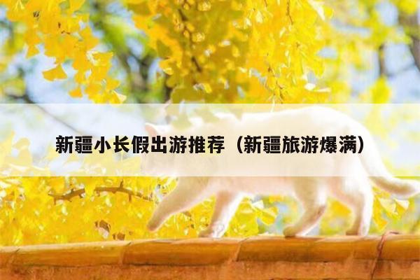 新疆小长假出游推荐（新疆旅游爆满）