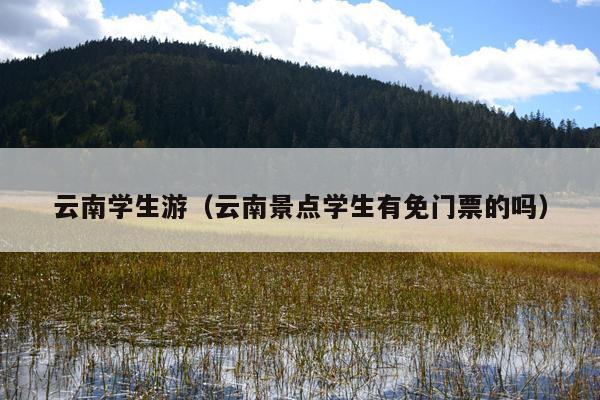 云南学生游（云南景点学生有免门票的吗）