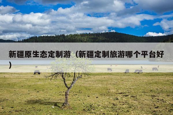 新疆原生态定制游（新疆定制旅游哪个平台好）
