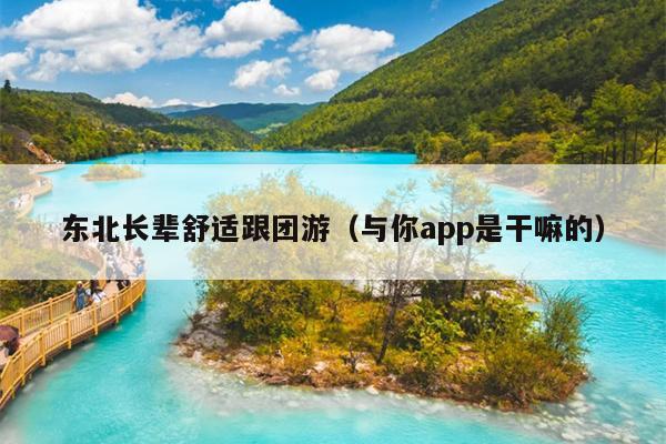 东北长辈舒适跟团游（与你app是干嘛的）