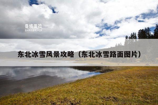 东北冰雪风景攻略（东北冰雪路面图片）