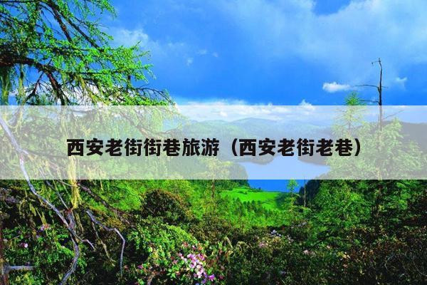 西安老街街巷旅游（西安老街老巷）