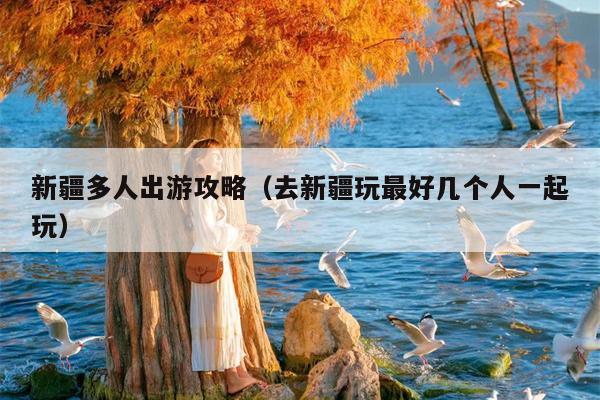 新疆多人出游攻略（去新疆玩最好几个人一起玩）