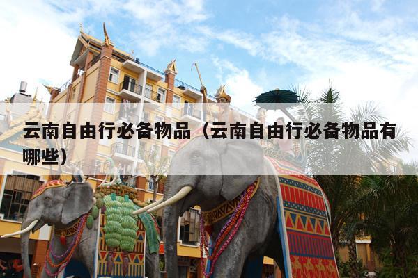 云南自由行必备物品（云南自由行必备物品有哪些）