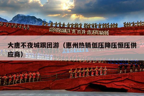 大唐不夜城跟团游（惠州热销低压降压恒压供应商）