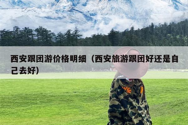 西安跟团游价格明细（西安旅游跟团好还是自己去好）