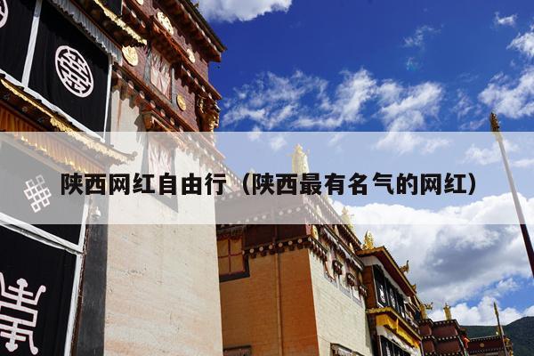 陕西网红自由行（陕西最有名气的网红）