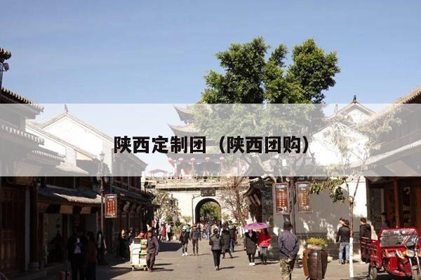陕西定制团（陕西团购）