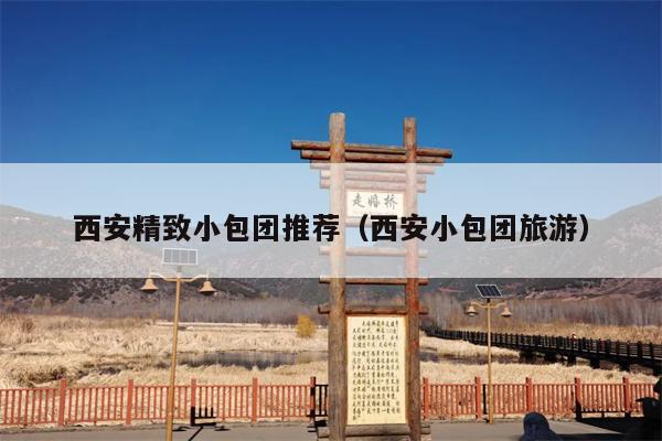 西安精致小包团推荐（西安小包团旅游）
