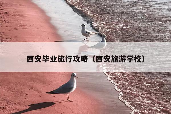西安毕业旅行攻略（西安旅游学校）