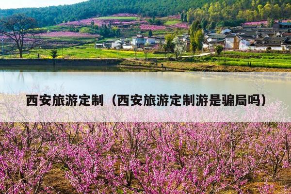 西安旅游定制（西安旅游定制游是骗局吗）
